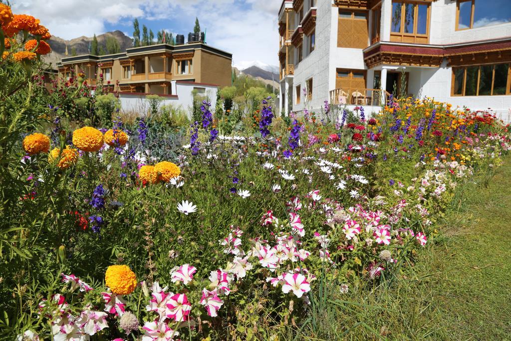 Hotel Ladakh Himalayan Retreat Léh Exteriér fotografie